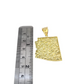 Real 10K Yellow Gold Arizona State Pendant Charm Mens Diamond Cut Nugget Finish